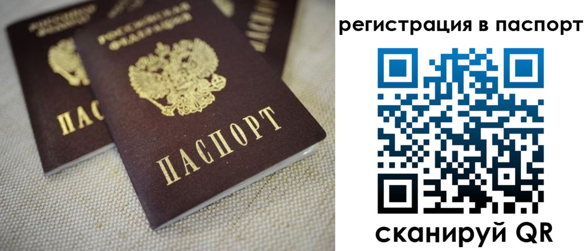 прописка гарантия в Кирсанове